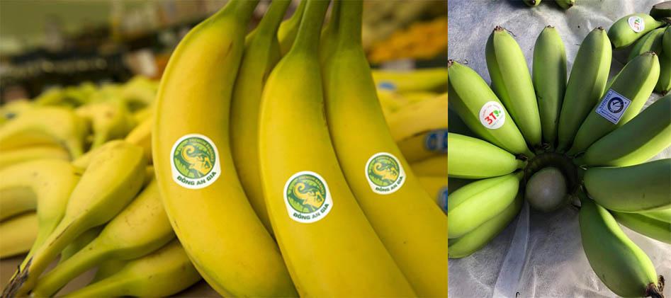 In tem nhãn trái cây